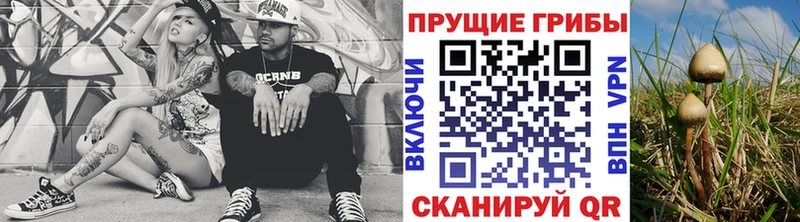 Галлюциногенные грибы Magic Shrooms  Зея 