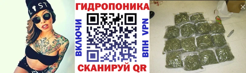 KRAKEN ССЫЛКА  Зея  Конопля семена 